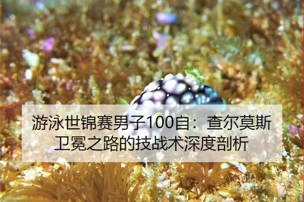 you-yong-shi-jin-sai-nan-zi-zi-cha-er-mo-si-wei-mian-zhi-lu-de-ji-zhan-shu-shen-du-pou-xi-3-612.jpg