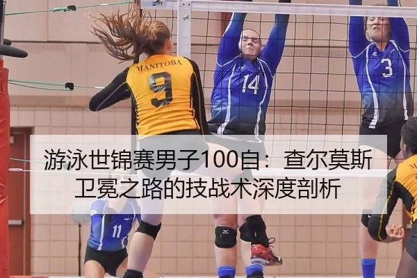 游泳世锦赛男子100自：查尔莫斯卫冕之路的技战术深度剖析