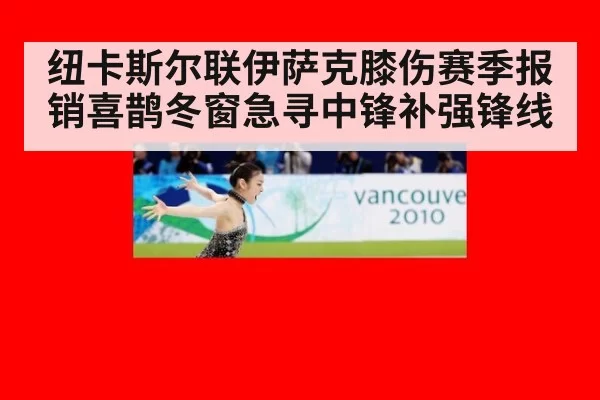 纽卡斯尔联伊萨克膝伤赛季报销喜鹊冬窗急寻中锋补强锋线