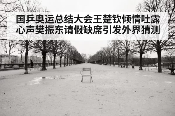 国乒奥运总结大会王楚钦倾情吐露心声樊振东请假缺席引发外界猜测